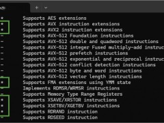 微软推出win11新预览版：prism扩展支持，x64应用模拟运行全面提升！